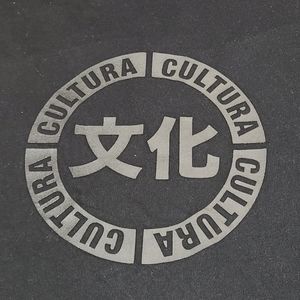 For The People Cultura long sleeve T shirt size S
